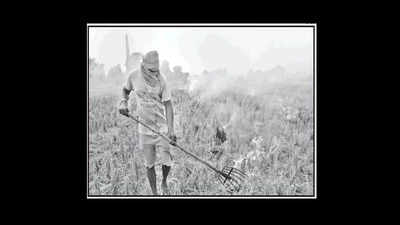 Songs to motivate farmers to give up straw burning