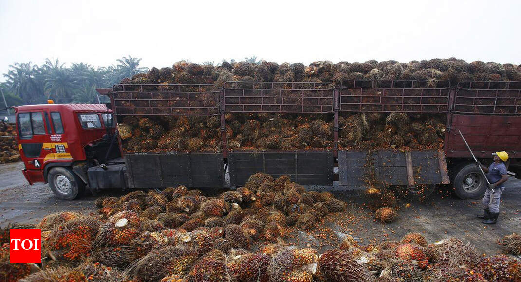 Why Indian traders have stopped buying Malaysian palm oil