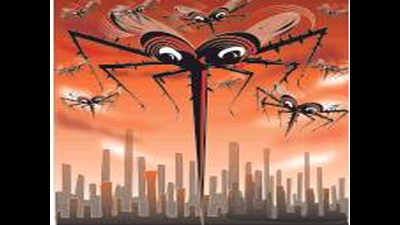 Dengue raises head in south Kolkata belts