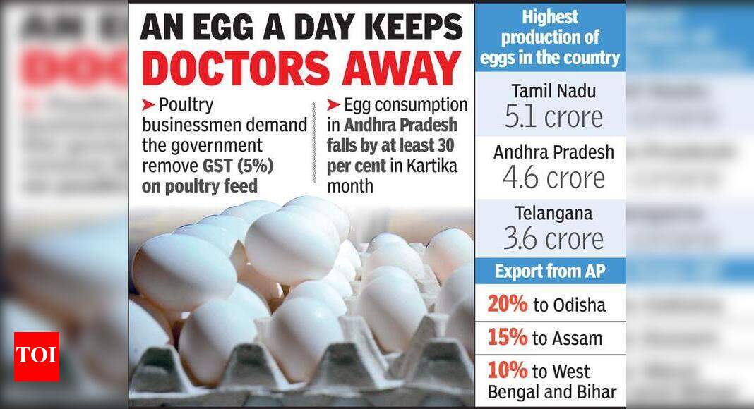 Egg consumption in AP much below prescribed standards Visakhapatnam News Times of India