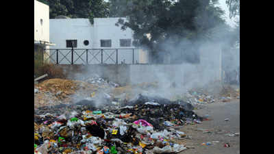 Delhi pollution: Vigil up on waste burning at night
