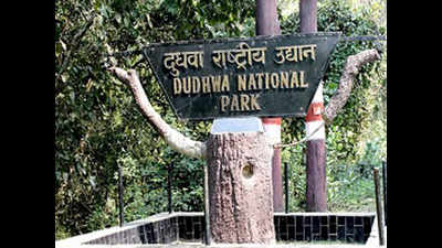 Visitors to Dudhwa Tiger Reserve will have to sign indemnity bond