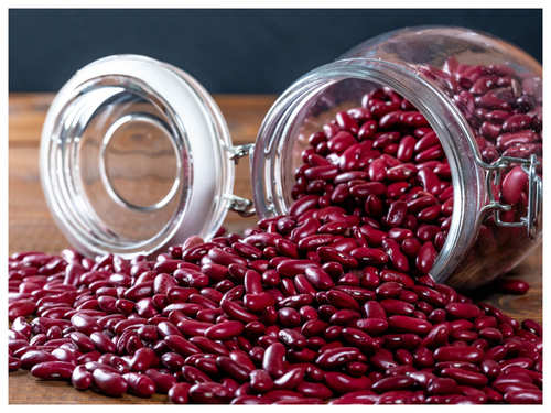 5 Seeds You Must Eat Daily And 5 You Should Never Eat The Times Of India
