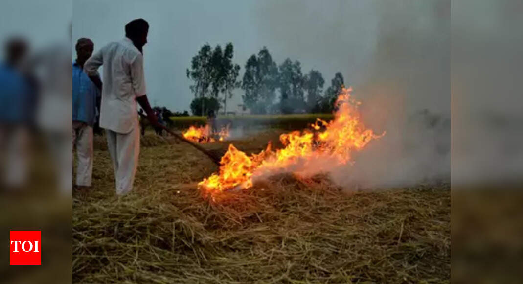 8,000 Punjab officers to keep eye on straw burning in villages