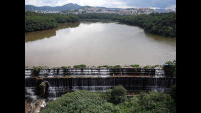 Experts regret lack of desilting and maintenance of Katraj lake