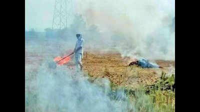 Punjab going slow on action against farmers due to bypolls