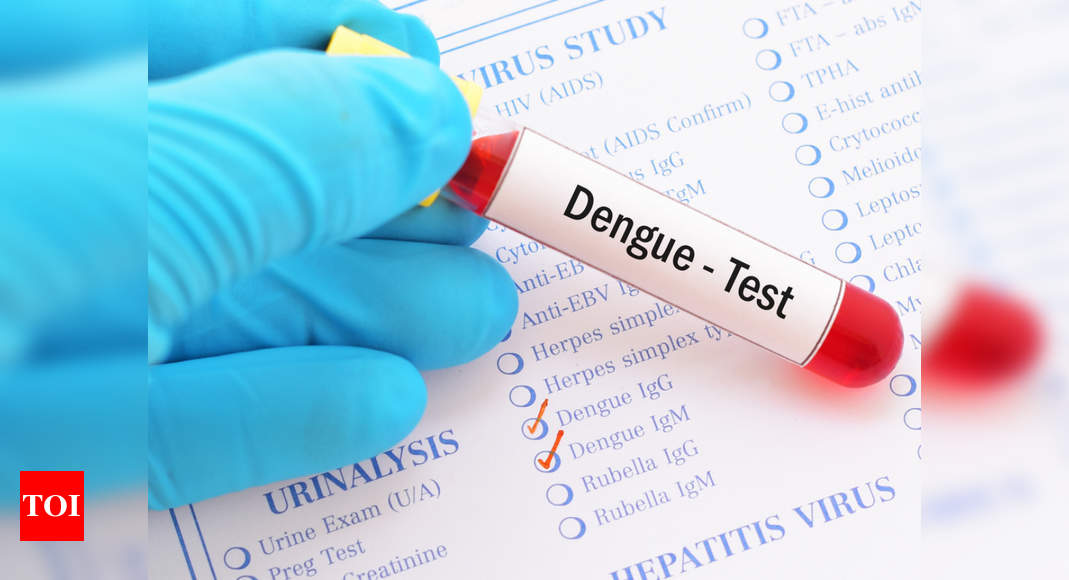 Dengue Tests How To Diagnose Dengue Fever Times Of India