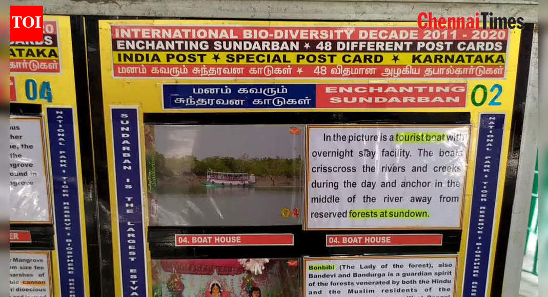 Enchanting Sundarban post cards were exhibited at the RS puram post ...