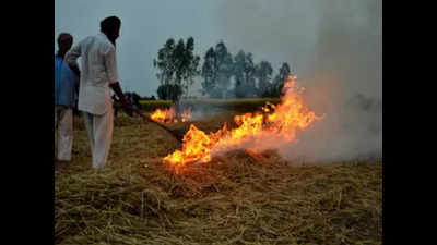 Stubble burning: PPCB to impose fines on defaulters