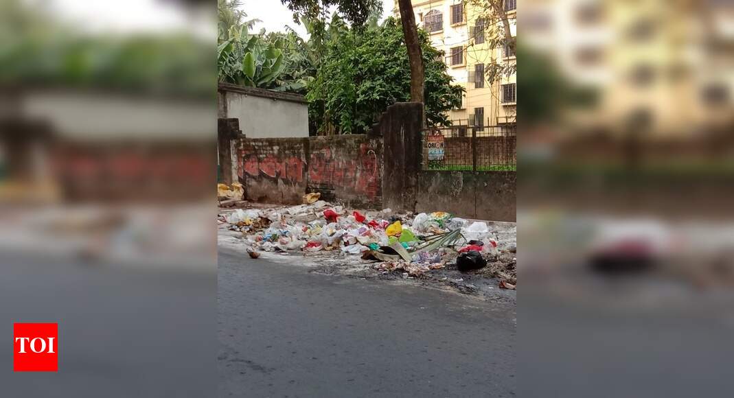 Open Dump Yard Times of India