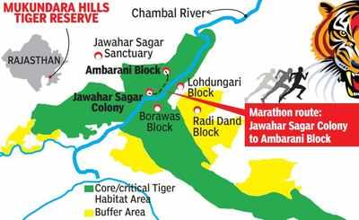Marathon on tiger turf again, Rajasthan wildlife activists furious
