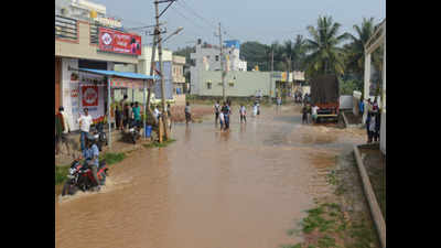 North, northwest Bengaluru got more rain than other areas this year