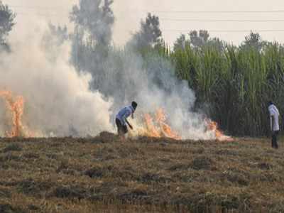 Sharp rise in Punjab-Haryana farm fires ahead of Diwali