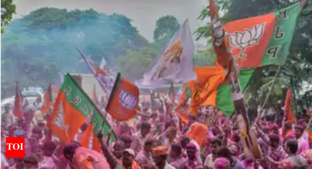 BJP focus on national issues affects state result