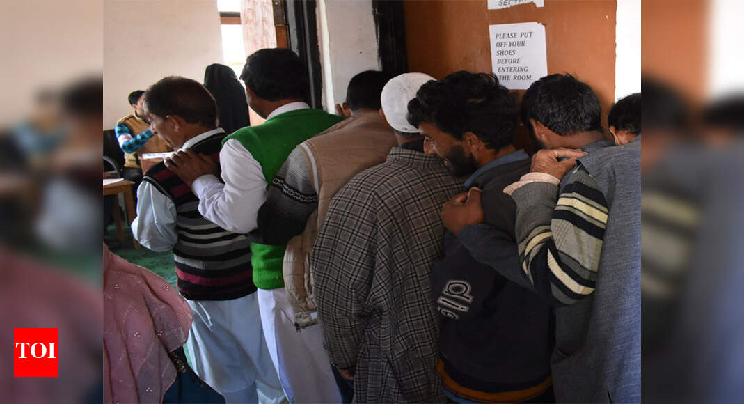 J&K block development council polls 217 Independents, 81 BJP members