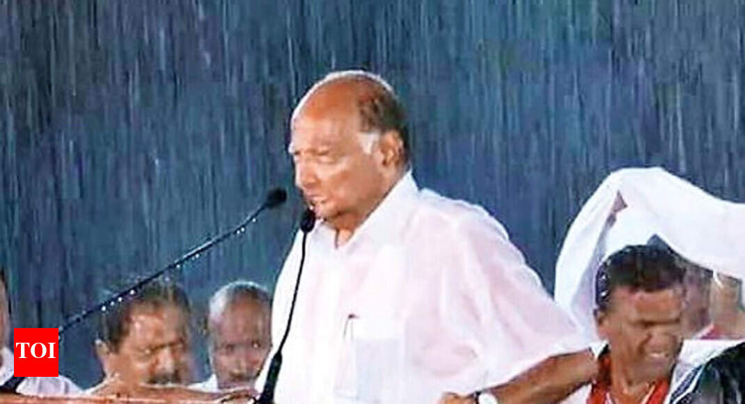 Maharashtra results: Old warhorse Sharad Pawar breathes life into NCP