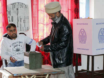 98.3% polling recorded in first-ever J&K BDC polls