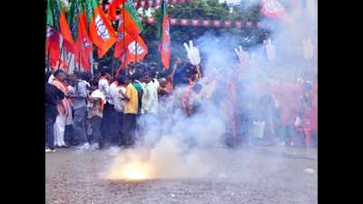 Shiv Sena-BJP stay strong in rest of Mumbai Metropolitan Region, PWP loses its seats in Pen, Alibaug