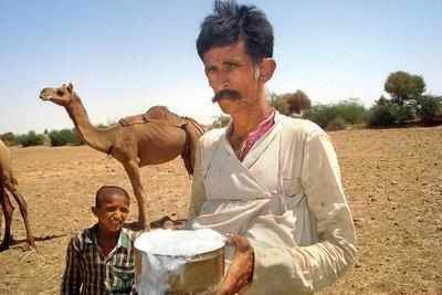 Gujarat: ‘Healthy’ camel milk will now have longer shelf life