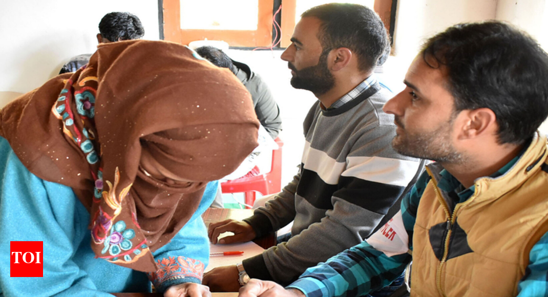 Independents trounce BJP in J&K BDC polls