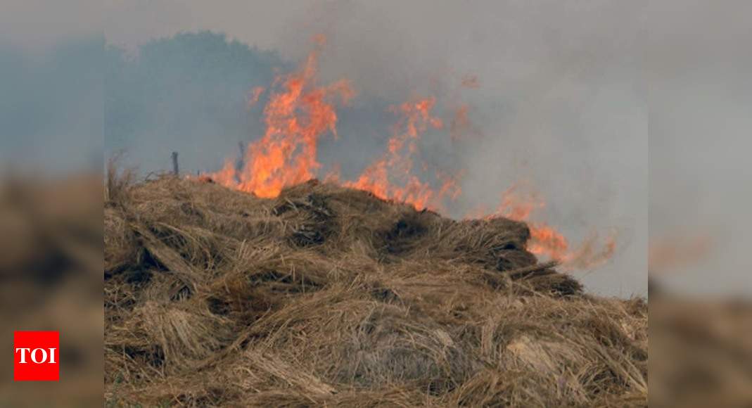 Stubble Burning 5% Up In Punjab And Haryana, But So Is Harvesting ...