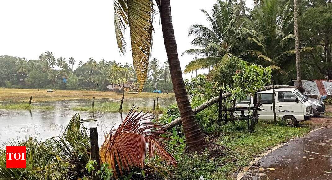 Cyclone Kyarr to intensify in next 24 hours