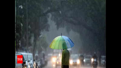 District to get rain over next 24 hrs: IMD
