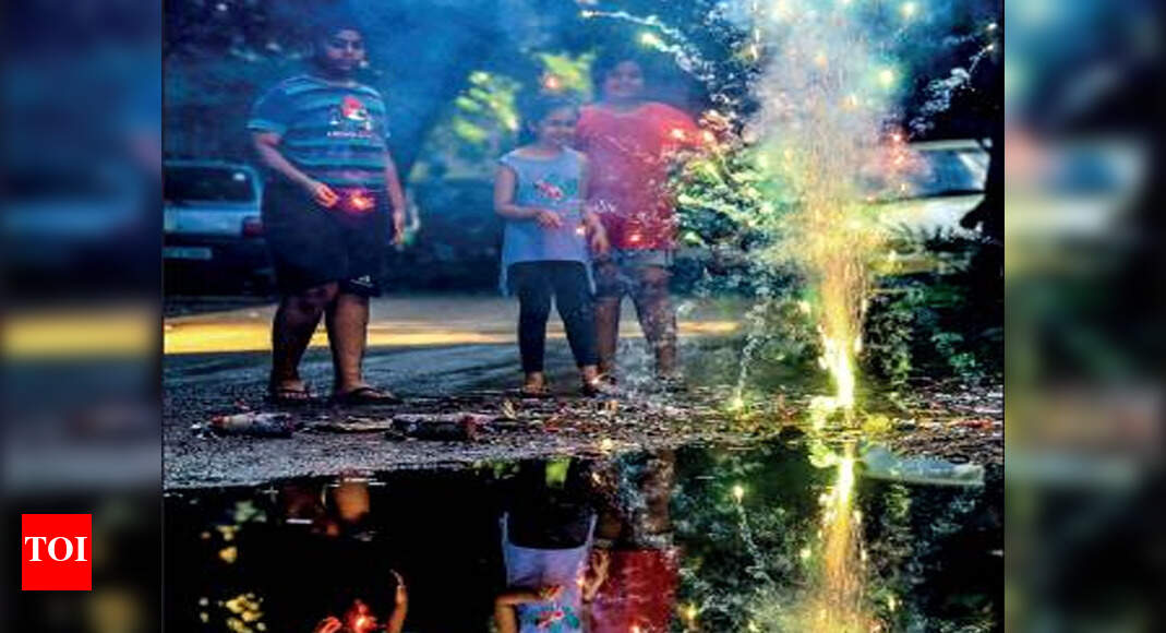 Chennai Crackdown on online sale of fireworks leads to more shops