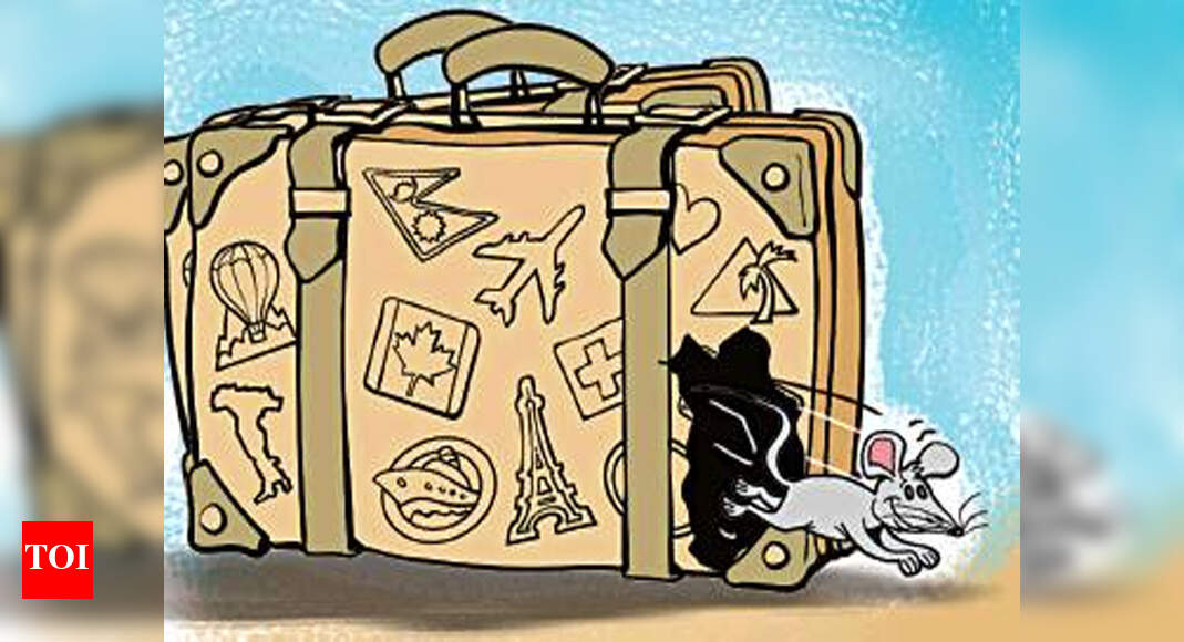 Chandigarh: Luggage meal for mice, fine for Northern Railway ...