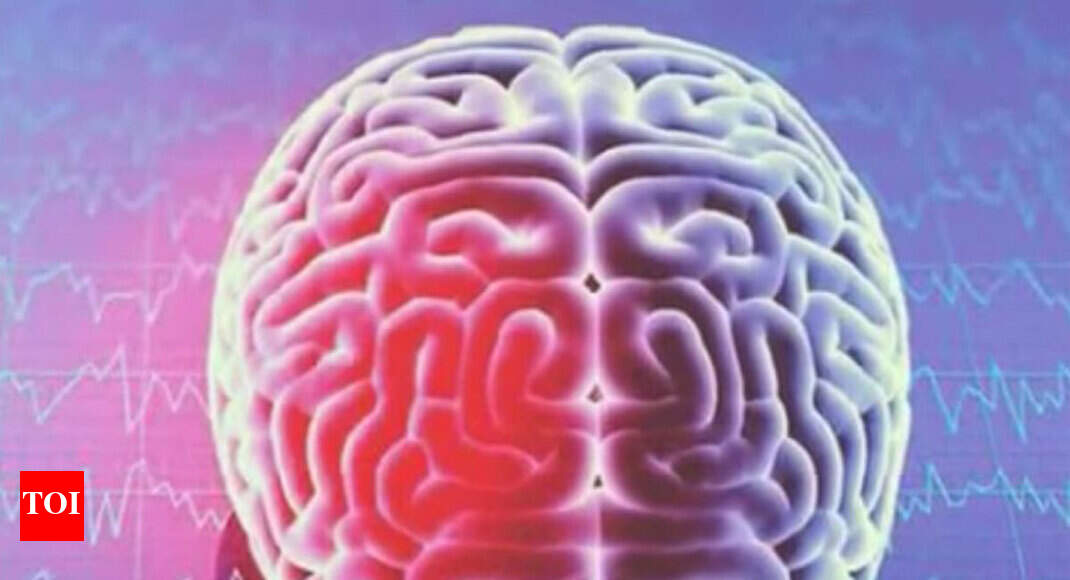 Indian brain smaller than Western, Chinese counterparts: Study