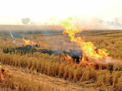 Punjab AQI better than last two years inspite of 2,231 farm fires