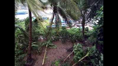 Kerala rains: IMD issues orange alert in 3 districts