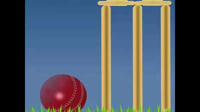 Vidarbha players disappointed with T20 postponement