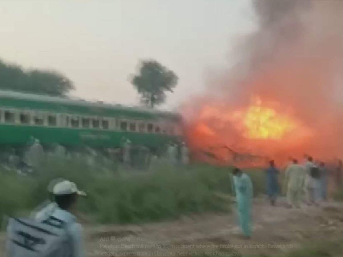 train to pakistan death