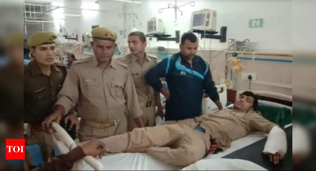 Agra: SI’s Service Revolver ‘misfires’, Constable Sustains Bullet ...