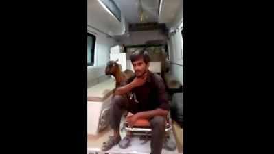 Kasganj man calls emergency ambulance service for injured goat