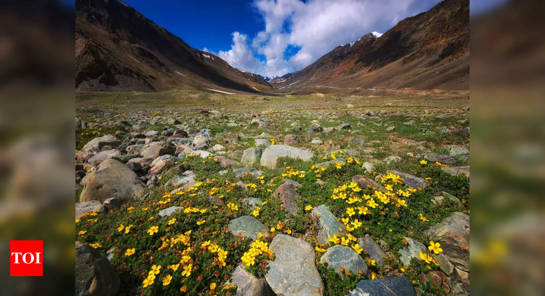 Uttarakhand: Valley of Flowers to close today | Dehradun ...