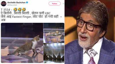 Kaun Banega Crorepati 11: Amitabh Bachchan shares pictures of a cat on sets, jokes she has come to play the game