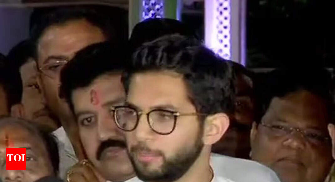 Maha govt formation: Uddhav will have the final word, says son Aaditya