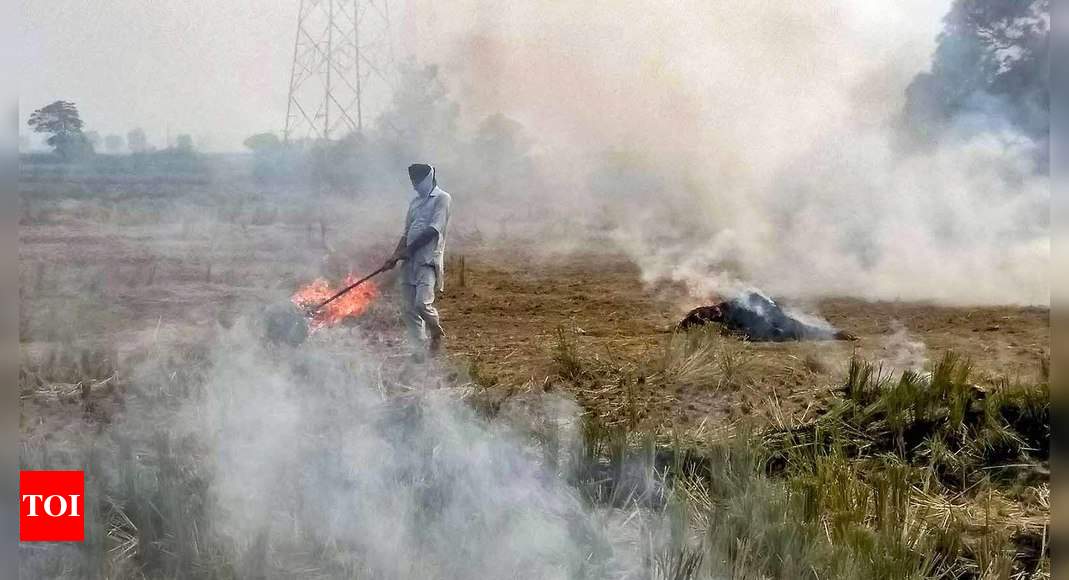 Why Punjab Farms Continue To Burn — And Suffocate Delhi | India News ...