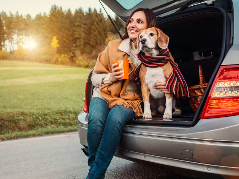Study reveals your pets influence the car you choose - Times of India