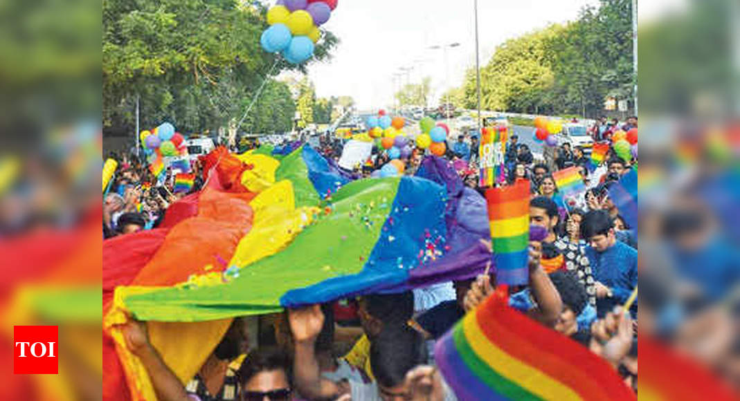 Goa's LGBTQ community to celebrate visibility & acceptance | Goa News ...