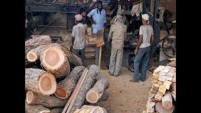 Low demand, high GST plague Kutch timber industry