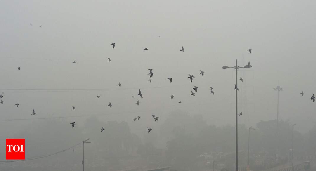 NCR smog: Principal, cabinet secys to hold meet