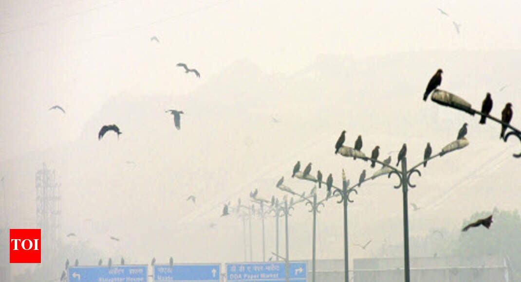 Atmosfear: Delhi victim of sick choke