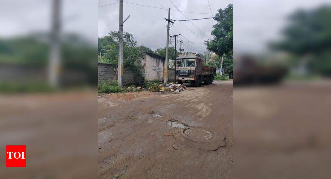 Garbage. at main Road - Times of India