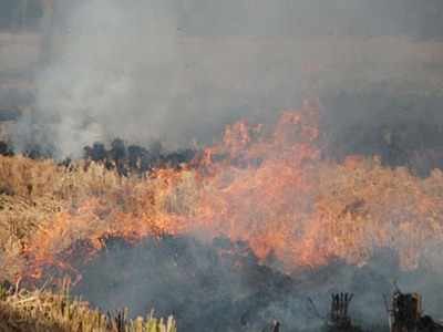 Practice of burning trash adds to toxicity in Ludhiana air | Ludhiana ...