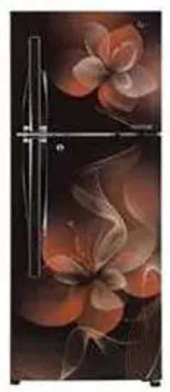 Lg Door Cooling 260 L Double Door Refrigerator Gl T292rhdu