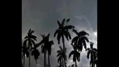 Heavy rain likely in parts of Maharashtra