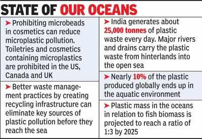 Counting The Cost Of Pollution: How Microplastics Threaten Marine ...